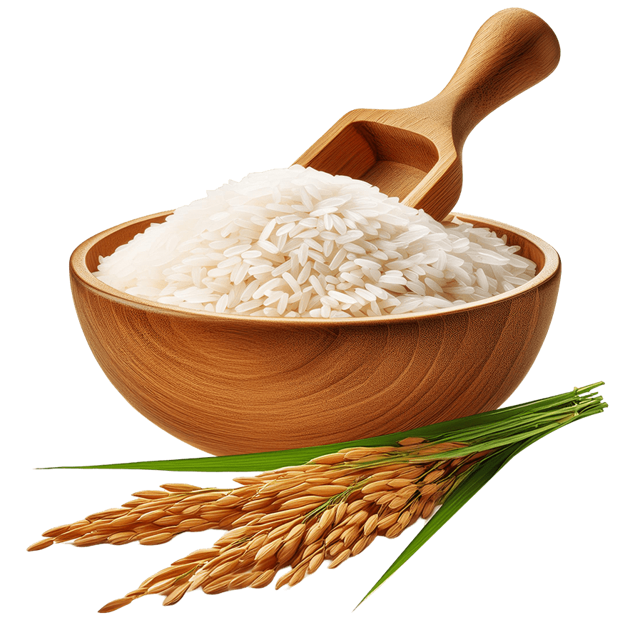 Keswani%20Rice%20Mills