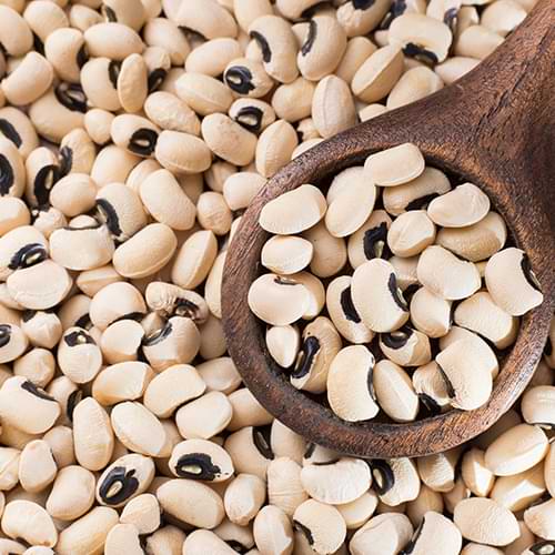 Keswani%20Rice%20Mills