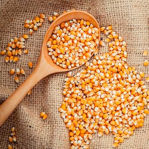 Keswani%20Rice%20Mills