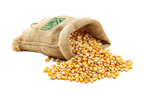 Keswani%20Rice%20Mills