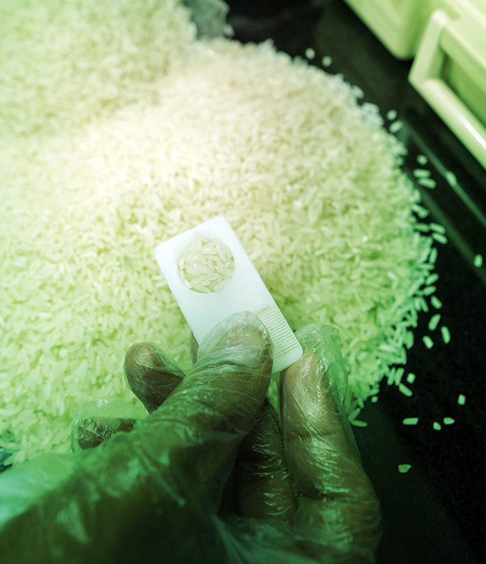 Keswani%20Rice%20Mills